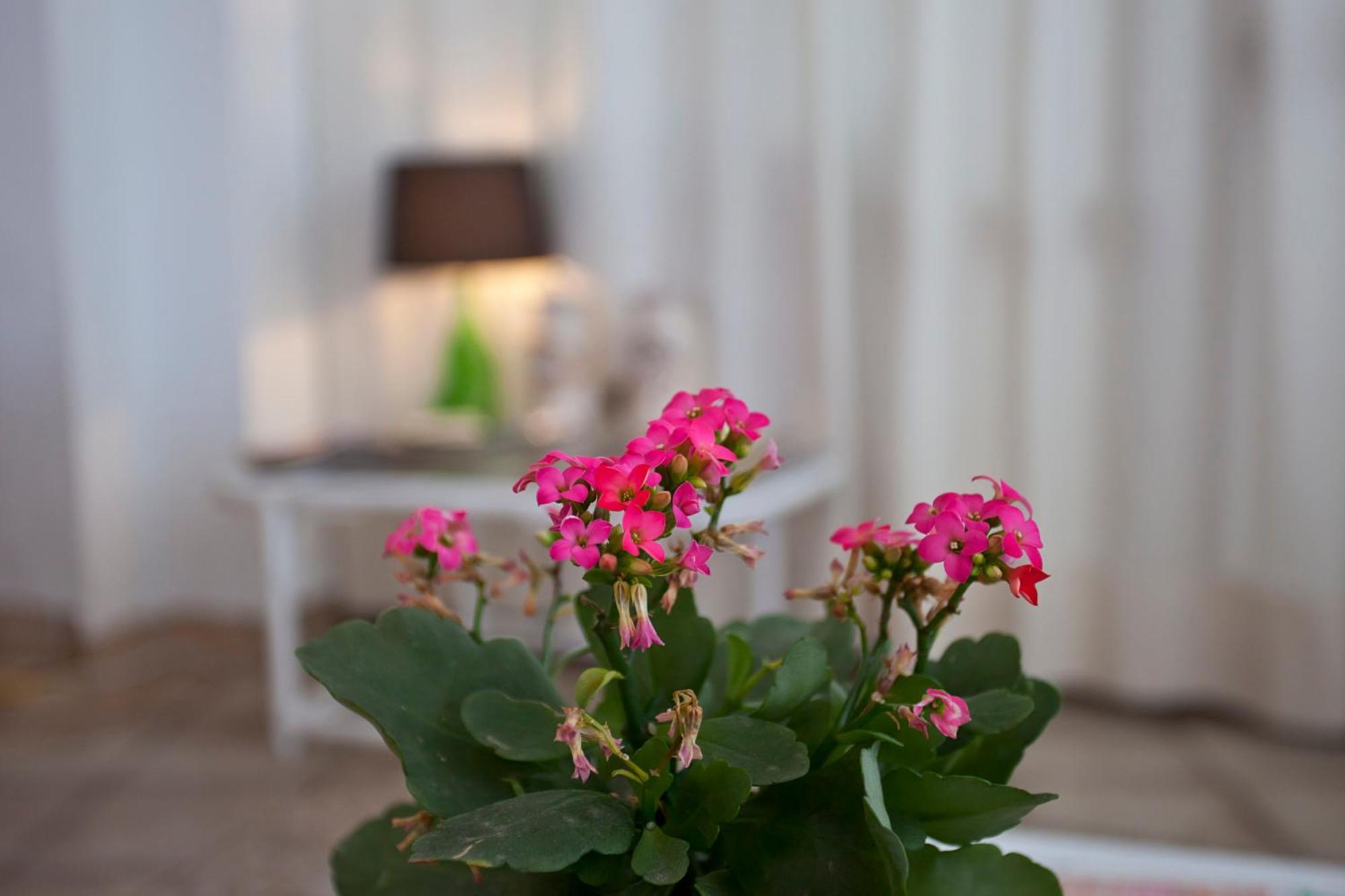 Galaxia Boutique Hotel Can Picafort  Kültér fotó